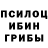 Галлюциногенные грибы мухоморы Trase wolf