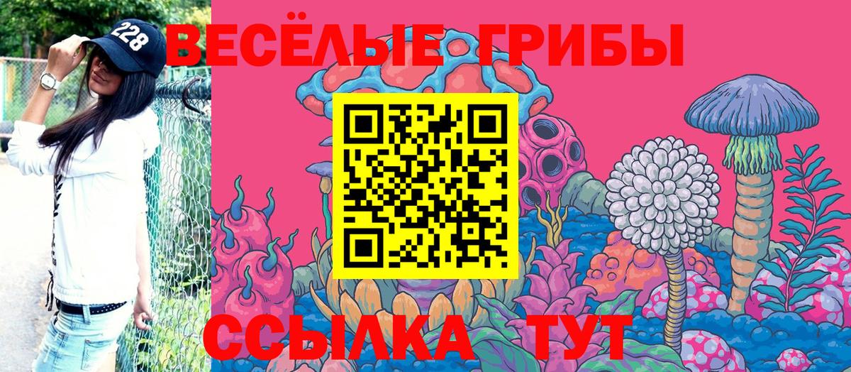 Галлюциногенные грибы мицелий Ставрополь
