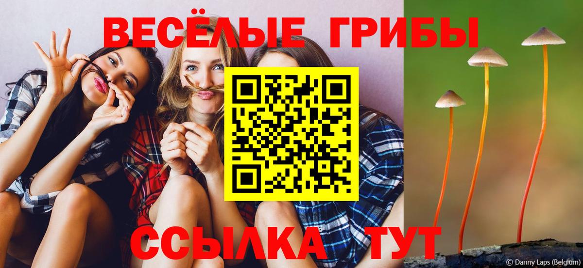 Псилоцибиновые грибы Psilocybe  где найти наркотики  Ставрополь  Вход с VPN 